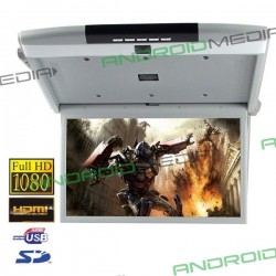 lubinis monitorius 17.3"...