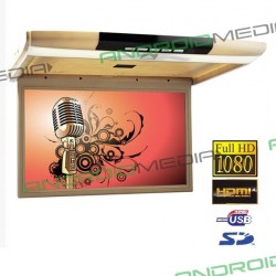 lubinis monitorius 17.3"...